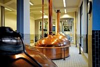 De Gouden Boom Brewery